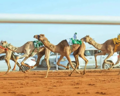 تسجيل مزاين مهرجان خادم الحرمين للهجن 2026: الشروط والجوائز
