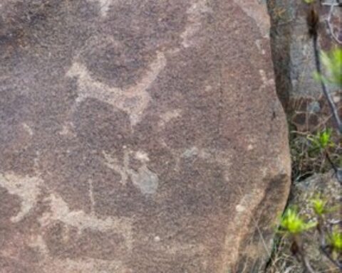 Discovery of 5000-year-old archaeological inscriptions in the Al-Soudah Peaks project