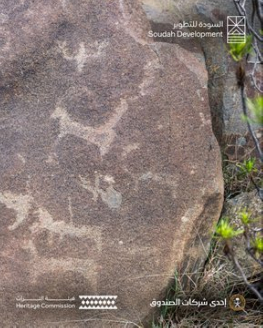 اكتشاف نقوش أثرية عمرها 5000 عام في مشروع قمم السودة