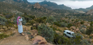 غرامات الهيئة الملكية للعلا لحماية الغطاء النباتي 2024