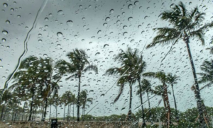 Saudi Arabia weather: Rain in Al-Baha, winds in Tabuk, and weather alerts