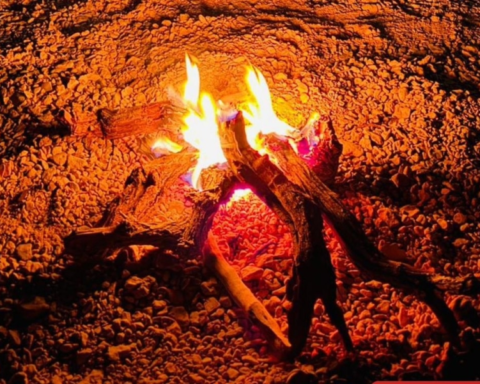 الأمن البيئي يضبط مخالفات بيئية بالرياض: تعرف على الغرامات