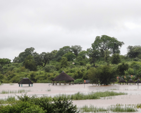 South Africa floods: 10 dead, 190 rescued, Kruger National Park evacuated