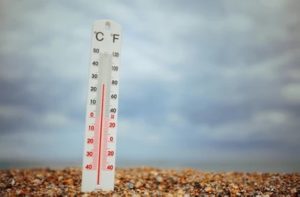 Saudi Arabia weather today: Sub-zero temperatures and brisk winds