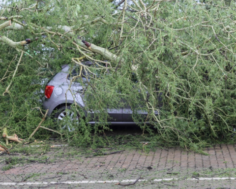 Australian floods and Victorian fires: Urgent warnings and natural disasters