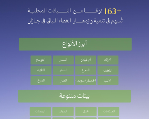 جازان: 165 نوعاً نباتياً لدعم مبادرة السعودية الخضراء