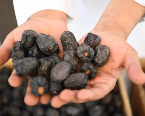 التمور السعودية في 1500 متجر عالمي: إنجاز اقتصادي جديد