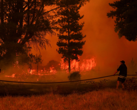 Chile wildfires: 15 dead, 50,000 evacuated, state of disaster declared