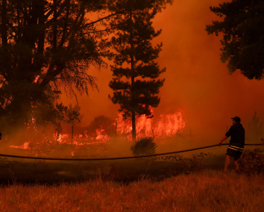 Chile wildfires: 15 dead, 50,000 evacuated, state of disaster declared