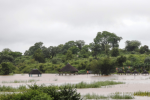 South Africa declares a national state of disaster due to flooding