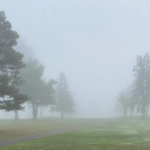 Today's weather: Dense fog in 8 regions and warnings for drivers