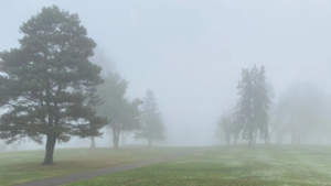 Today's weather: Dense fog in 8 regions and warnings for drivers