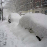 ثلوج في فلوريدا للعام الثاني: ظاهرة نادرة تضرب الولاية المشمسة