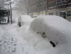 Snow in Florida for the second year: A rare phenomenon hits the sunny state