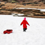 طقس السعودية: موجة قطبية وحرارة تحت الصفر وغبار