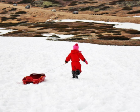 موجة قطبية تضرب السعودية: حرارة دون الصفر وتحذيرات من الغبار