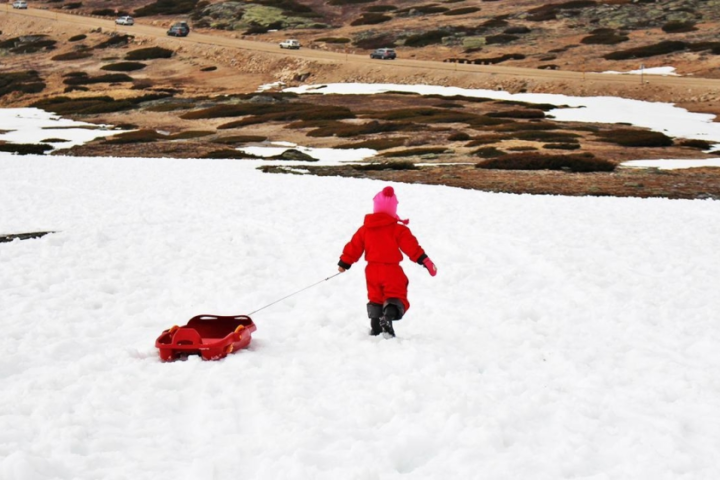 موجة قطبية تضرب السعودية: حرارة دون الصفر وتحذيرات من الغبار