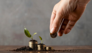 The difference between family and private trusts in Saudi Arabia: an official explanation