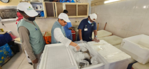 Makkah Environment Authority detects violations at the central fish market in Al-Kaakiyah