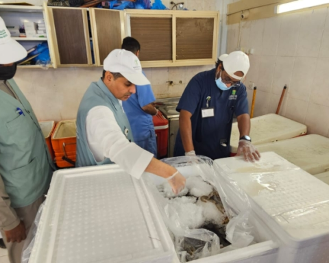 بيئة مكة تضبط مخالفات في سوق السمك المركزي بالكعكية