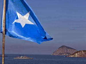 Saudi Arabia rejects parallel entities and supports the unity of Somalia