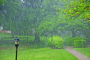 Heavy rains in Saudi Arabia: Meteorology warns 8 regions this weekend