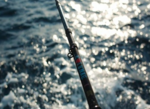 Jeddah border guards apprehend a violator of marine fishing regulations