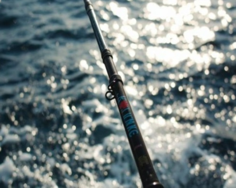 حرس الحدود بجدة يضبط مخالفاً لأنظمة الصيد البحري