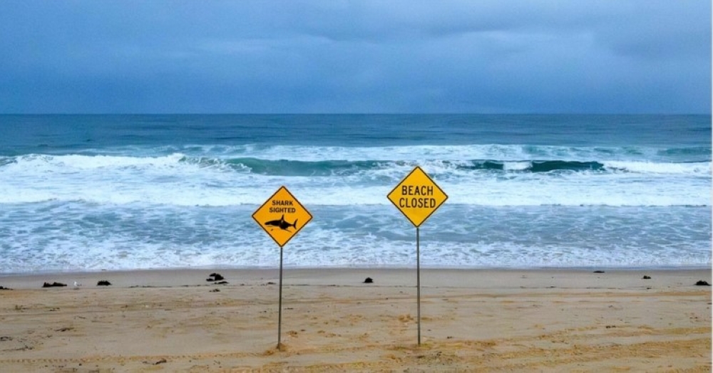 Sydney beaches closed after shark attacks: causes and consequences