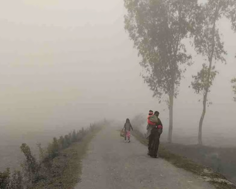 Cold wave and frost hit northern Saudi Arabia | National Meteorological Authority warning