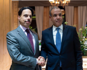 Saudi-Egyptian meeting in Davos: Joint coordination on regional crises