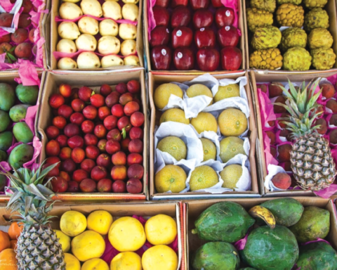 تسهيل استيراد الفواكه والخضروات في السعودية بنظام التسجيل الجديد