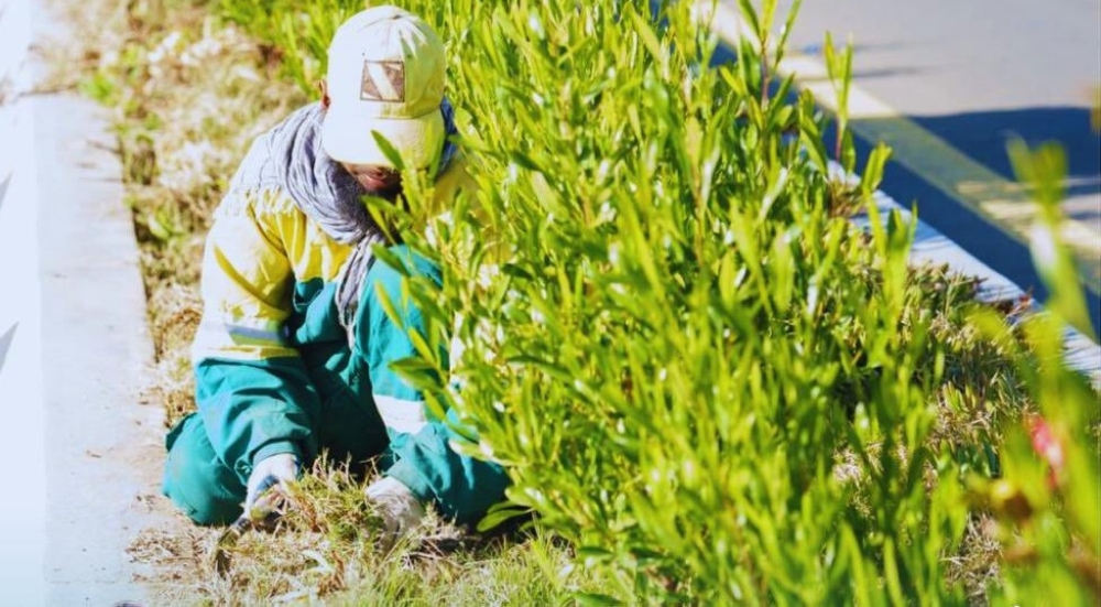 Planting 700 seedlings in the ancient village of Dhi Ain in Al-Baha | Green Saudi Arabia