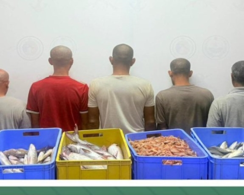 ضبط 5 مخالفين للائحة الصيد البحري في بيش بجازان