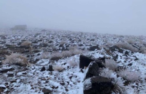 Yellow alert from the weather service: Cold wave and frost hit 6 regions