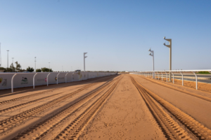 انطلاق مهرجان خادم الحرمين للهجن 2026 بجوائز 75 مليون ريال