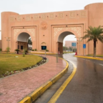 تعديل نظام الجامعات: اعتماد نائب وزير التعليم عضواً بمجلس الشؤون