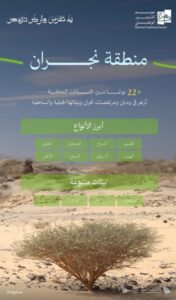 نجران خضراء: 22 نوعاً محلياً يعتمدها البرنامج الوطني للتشجير