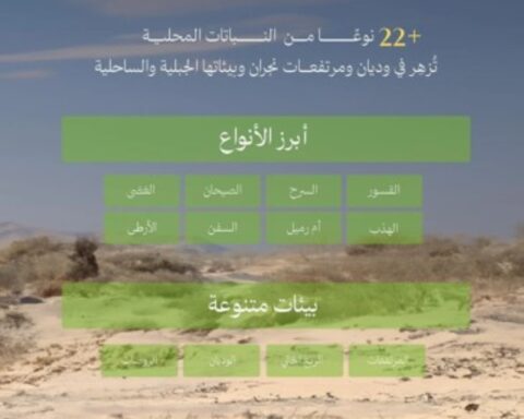 نجران خضراء: 22 نوعاً محلياً يعتمدها البرنامج الوطني للتشجير