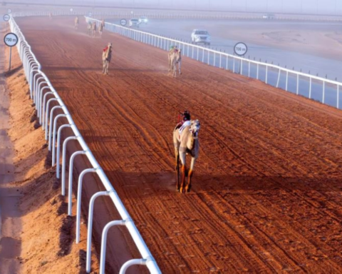 الدوسري يشيد بدمج المزاين والسباق في مهرجان خادم الحرمين