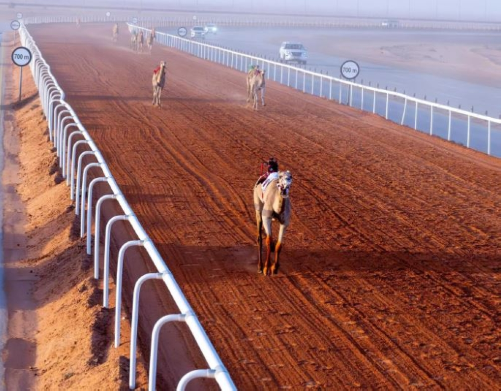 الدوسري يشيد بدمج المزاين والسباق في مهرجان خادم الحرمين