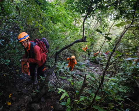 إندونيسيا: إعلان الطوارئ في كوبو رايا بسبب حرائق الغابات