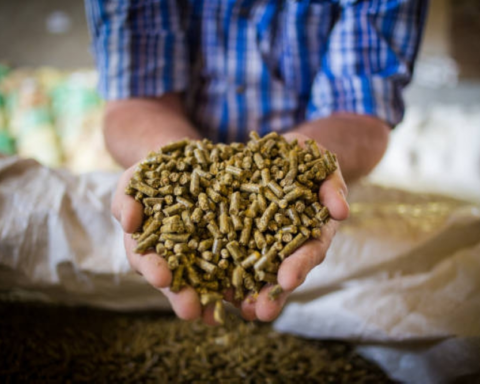 إيقاف زراعة الأعلاف المعمرة في السعودية للحفاظ على المياه