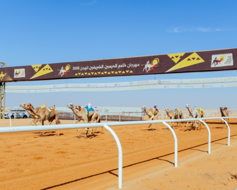 دعم القيادة يعزز الاستثمار في رياضة الهجن السعودية