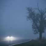 ضباب خفيف في مكة وعسير وجازان: تحذير من تدني الرؤية