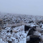 طقس السعودية: موجة باردة ورياح نشطة تضرب شمال المملكة