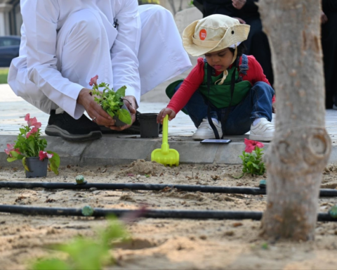 Planting 155,000 flowers in Dhahran to enhance quality of life