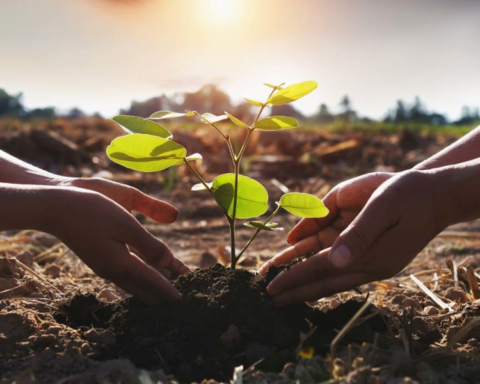 اجتماع الشرق الأوسط الأخضر بجدة: بدء تنفيذ المشاريع المناخية