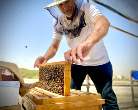 Saudi Arabia's rural areas distribute modern beekeeping equipment to boost the honey sector