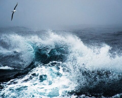 حالة الطقس في السعودية: أمطار رعدية ورياح وغبار اليوم